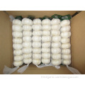 /msite/products/detail/productid/57046165/id/573198.html